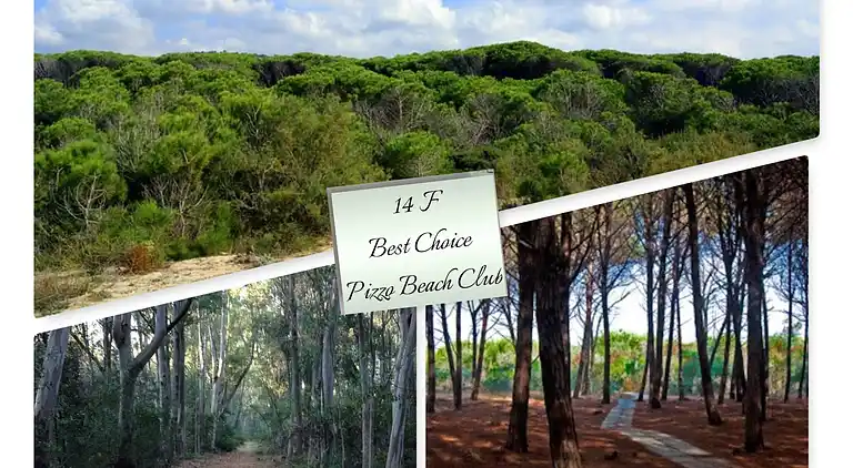 Two-bedroom apartment 14F