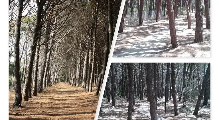 Two-bedroom apartment 14F