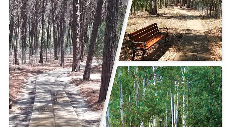 Two-bedroom apartment 14F