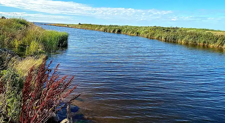 Holiday home in Skaven Strand
