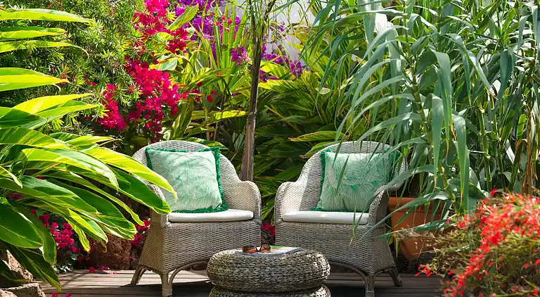 Hemmelig botanisk have-gård