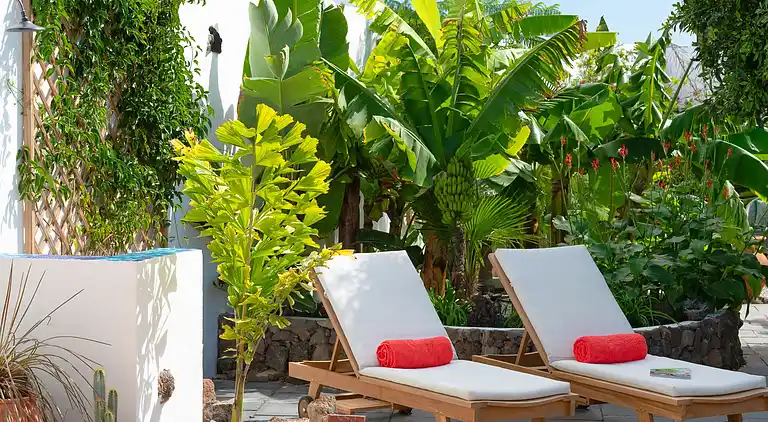 Hemmelig botanisk have-gård