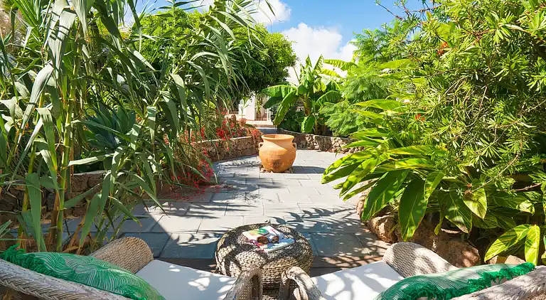 Hemmelig botanisk have-gård