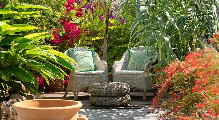 Hemmelig botanisk have-gård