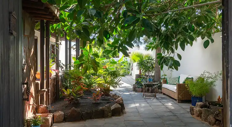 Hemmelig botanisk have-gård