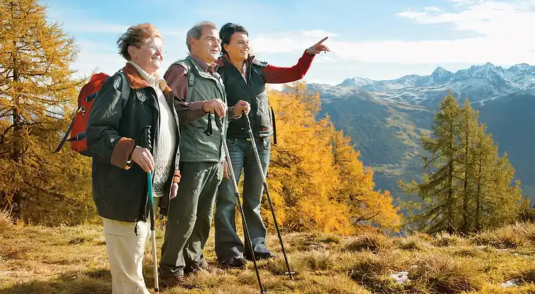 Ferielejlighed i Wenns