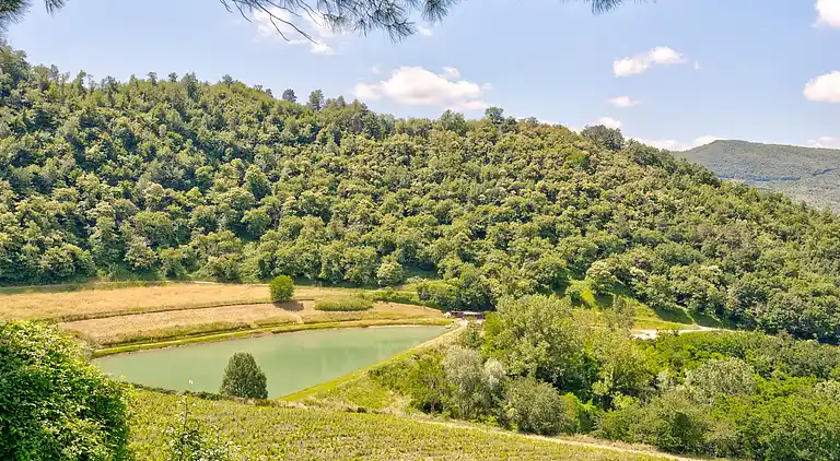 Feriebolig i Dicomano