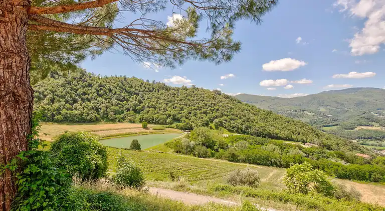 Feriebolig i Dicomano