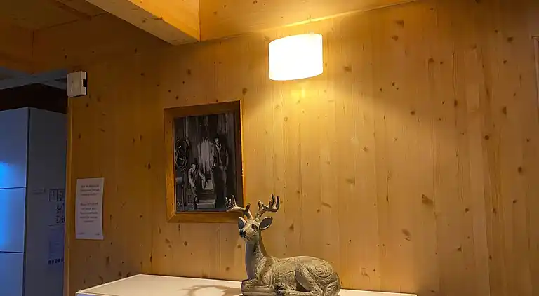 Hytte i Bad St Leonhard im Lavanttal