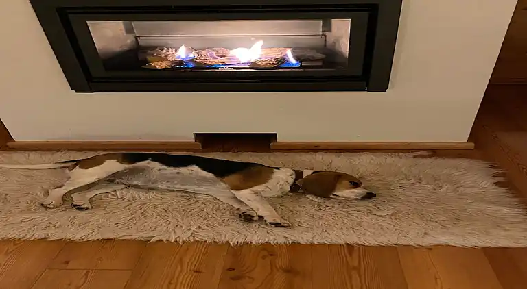 Hytte i Bad St Leonhard im Lavanttal