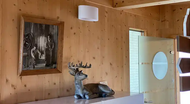 Hytte i Bad St Leonhard im Lavanttal