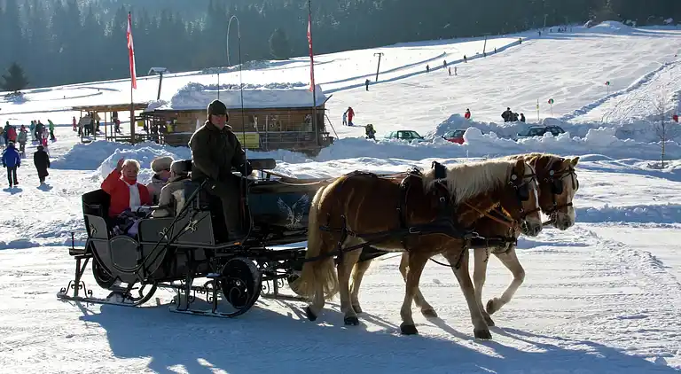 Apartment in Techendorf