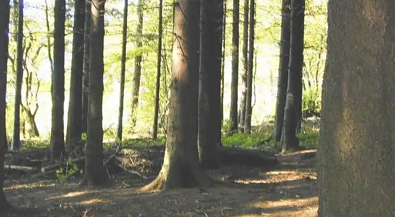 Ferielejlighed i Neuhochstein