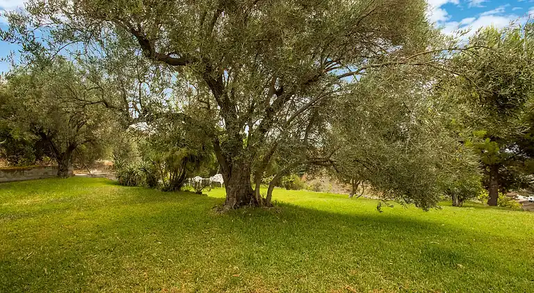 Herregård i Frigiliana