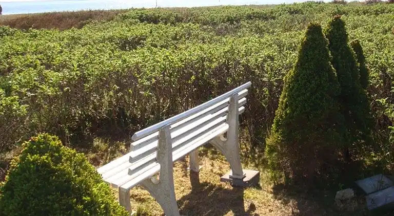 Sommerhus ved Lyngsbæk Strand