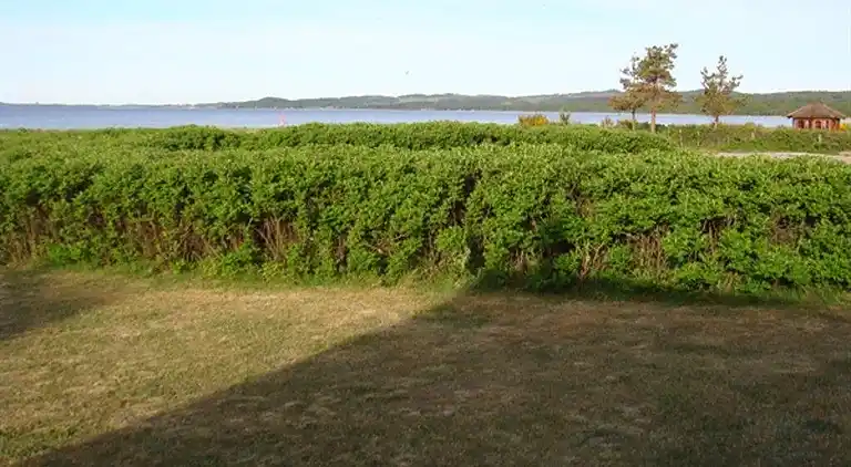 Sommerhus ved Lyngsbæk Strand