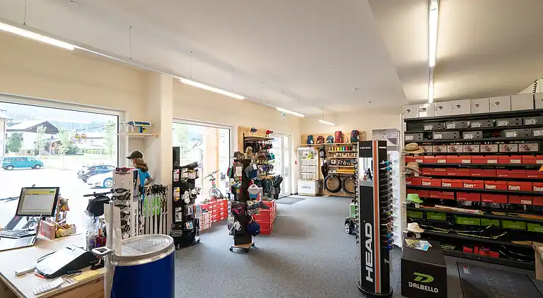 Ferielejlighed i Gosau