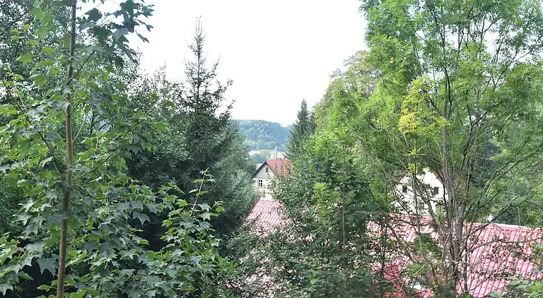 Holiday home in Javorník