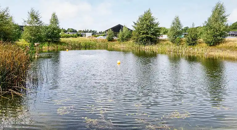 Sommerhus ved Fjellerup Strand
