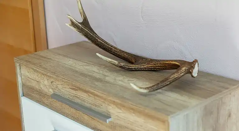 Ferielejlighed i Piesendorf