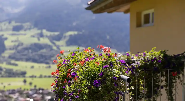 Ferielejlighed i Piesendorf