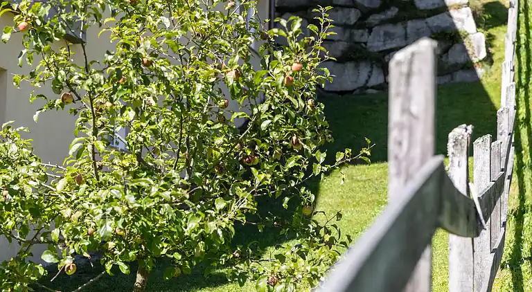 Ferielejlighed i Piesendorf