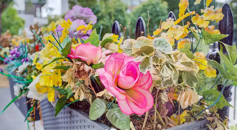 Apartment in Tyburnia