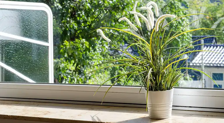 Ferienhaus in Bad Harzburg