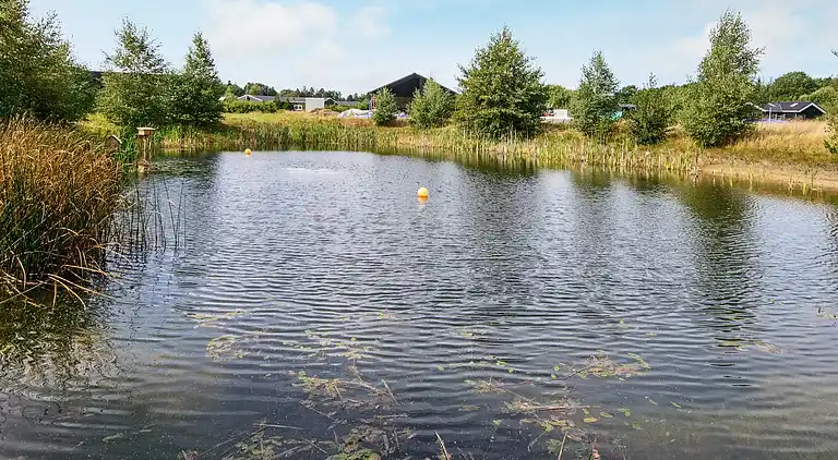 Sommerhus ved Fjellerup Strand