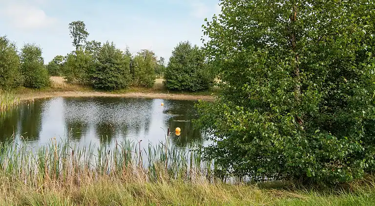 Sommerhus ved Fjellerup Strand