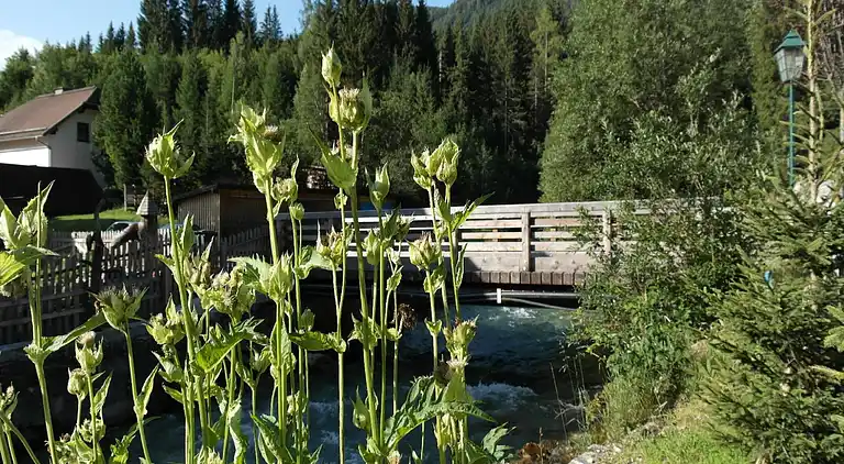 Holiday home in Mauterndorf