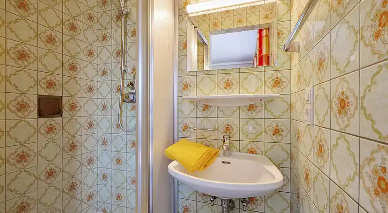 Apartment in Hollersbach im Pinzgau