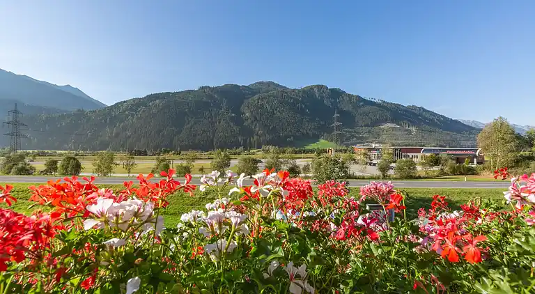 Apartment in Hollersbach im Pinzgau