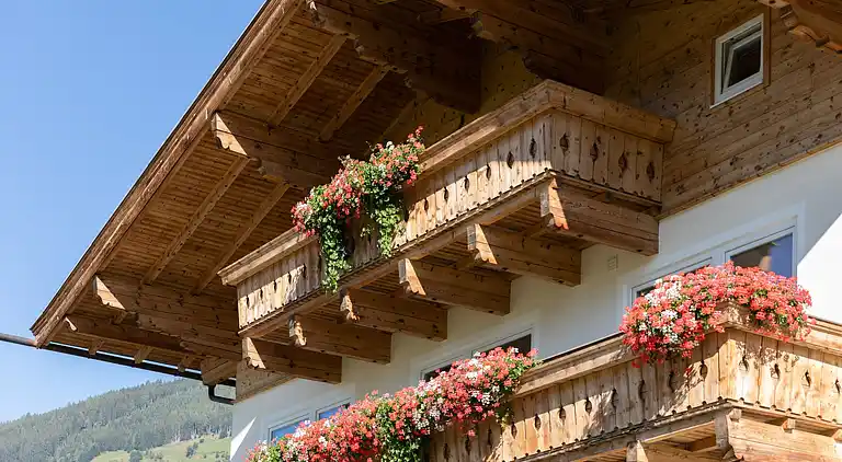 Apartment in Hollersbach im Pinzgau