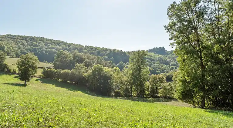 Herregård i Maleville