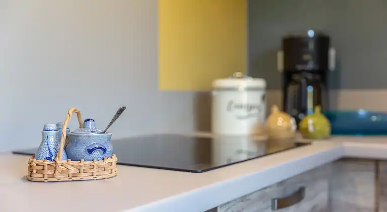 Apartment in Dieffenthal