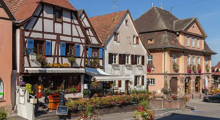 Apartment in Dieffenthal