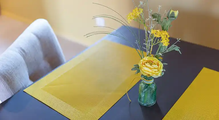 Apartment in Dieffenthal