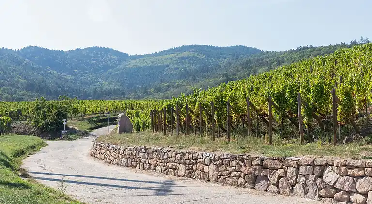 Apartment in Dieffenthal