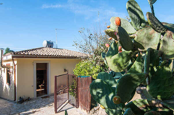 Mare Noto house