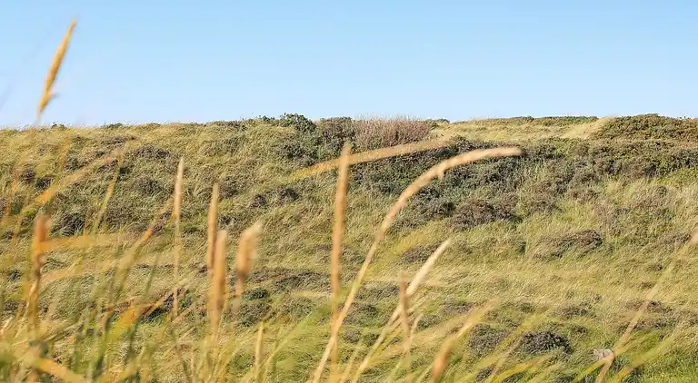 Sommerhus i Hirtshals
