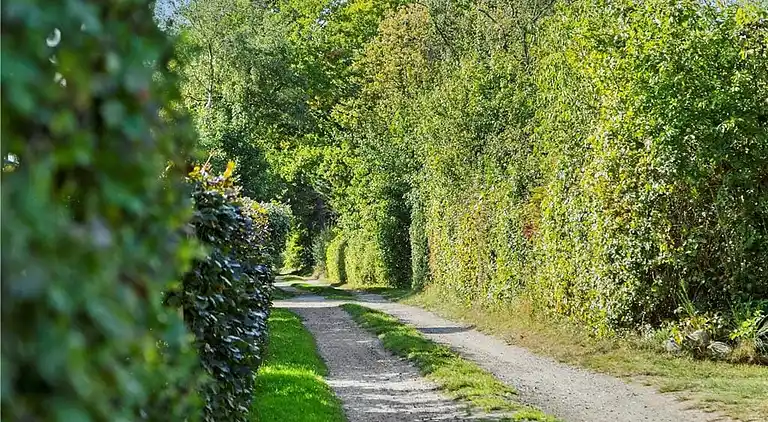 Sommerhus ved Saksild Strand