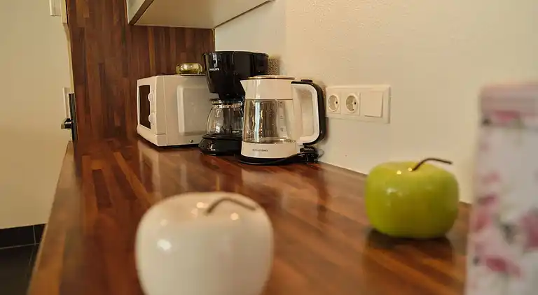 Semesterbostad i Goldegg