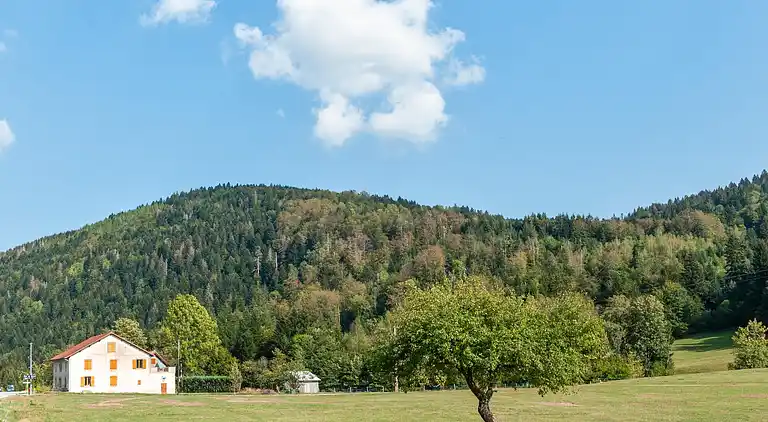 Cottage in Le Thillot