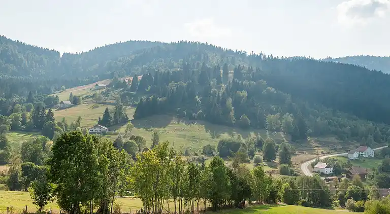 Cottage in Le Thillot