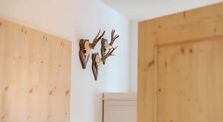 Ferielejlighed i Kirchberg in Tirol