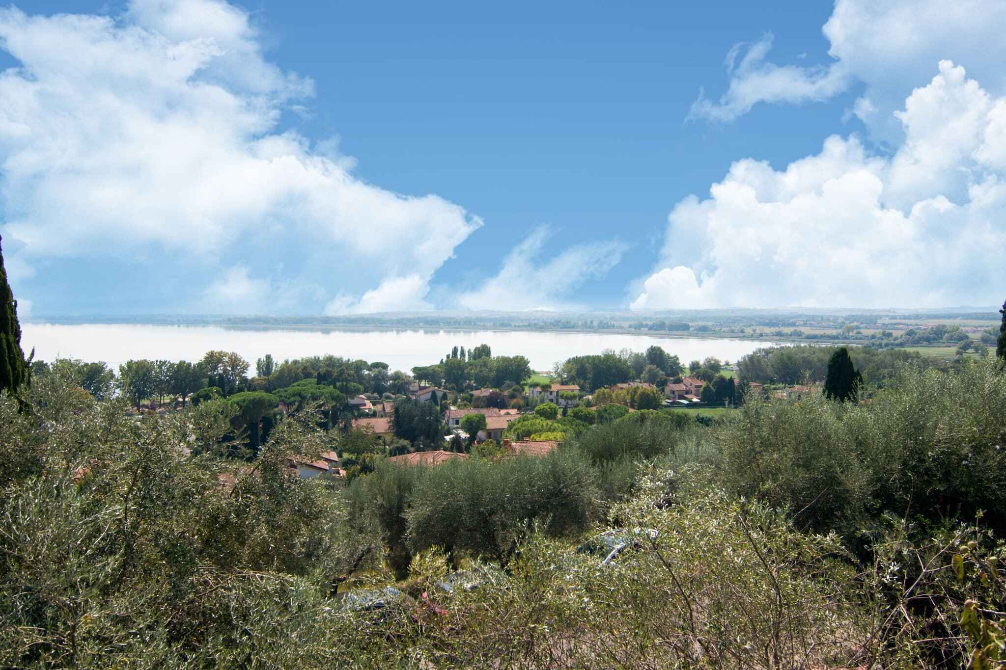 Large Image