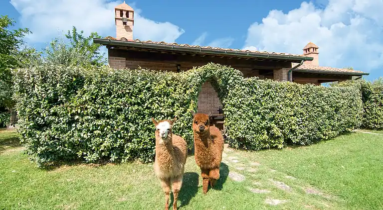 Casa rurale in Pucciarelli