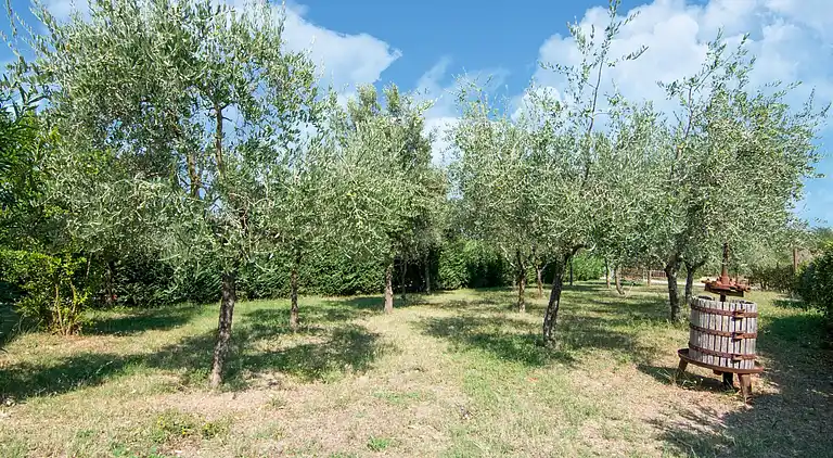 Bondgård i Pucciarelli