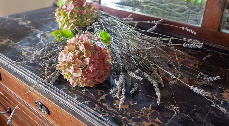 Farm house in Pulicciano